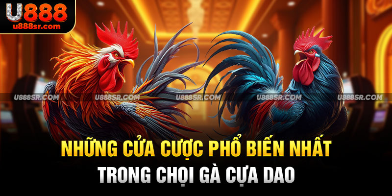 Những cửa cược phổ biến nhất trong chọi gà cựa dao