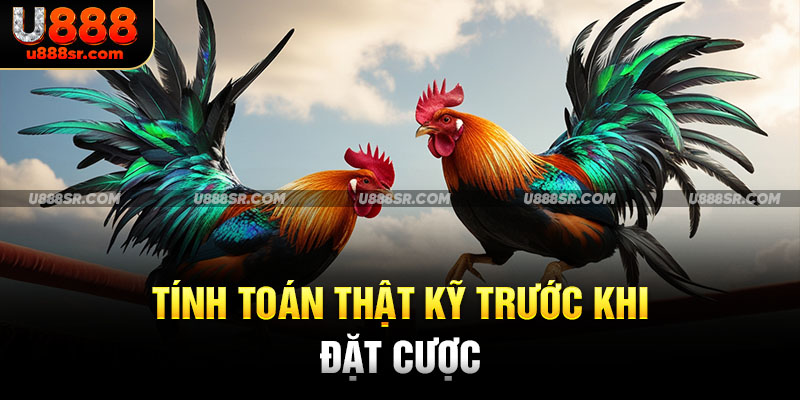 Tính toán thật kỹ trước khi đặt cược